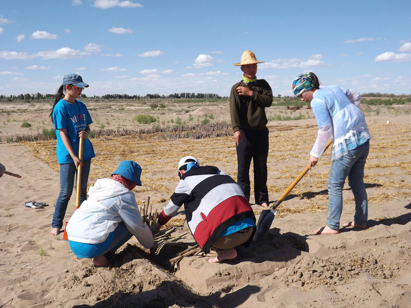 �@�N1.5��Ҋ�������ݸ��ӣ���ɳЧ����á����^4��5���͕��L(f��ng)�g��������Ҫ�����a����