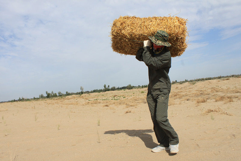 �F�T���i�������ݣ����ϳ����ģ����������؟(z��)�Ρ�