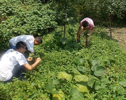 �ڶ��죬꠆T���_ʼ�������B(t��i)�r���w��r�����������ժ�ˡ�