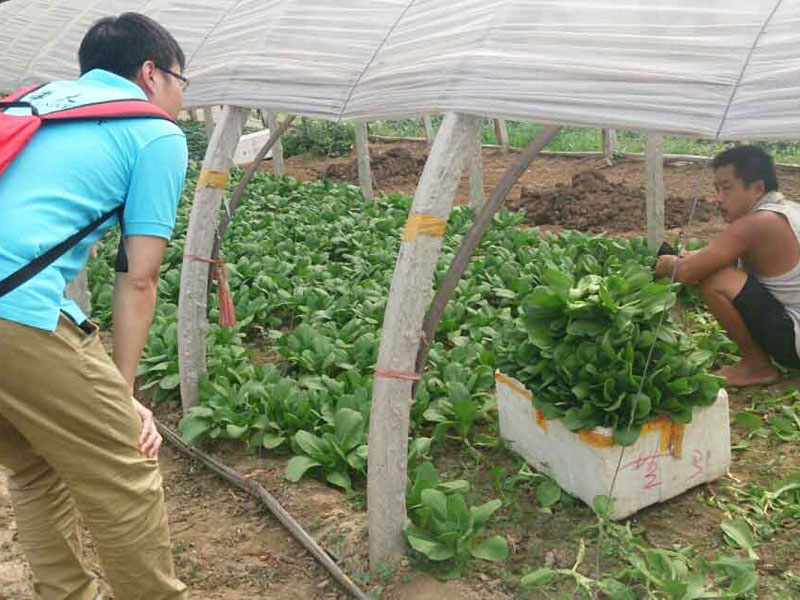 ���`꠆T�c�����r��e�O��ͨ������������}���˽��߲˴�������P��r��