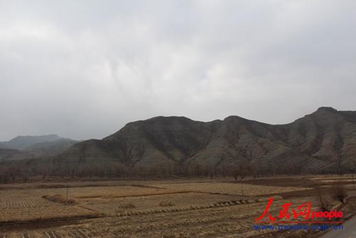 �o���^����Ρ���Ⱥɽ�c�r� ����� �z��