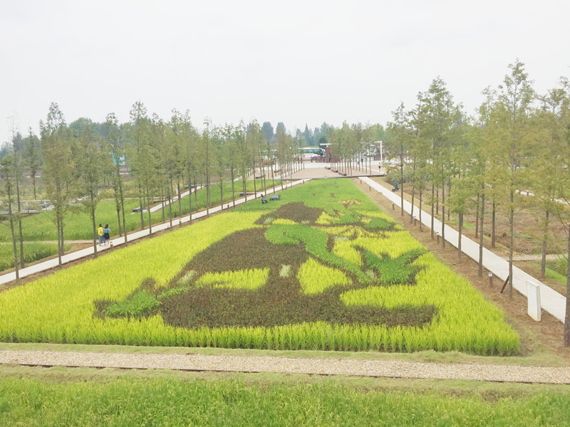 ������L�������ġ����zӰ����־�ۣ�