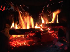 �t��t����~����������ʳ���ρ�