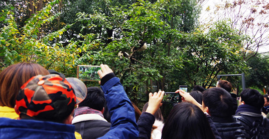 �@�����ӵ������ɶ����W�j���ˁ��cٝ