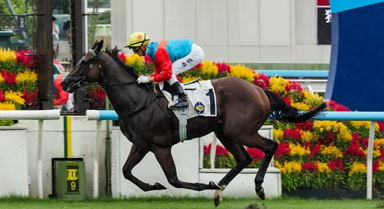 香港新年度賽馬季開(kāi)鑼