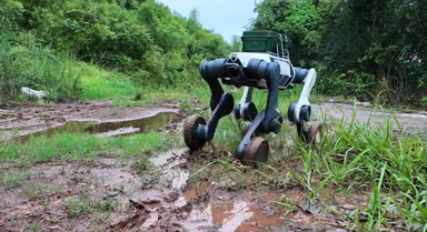 機(jī)器戰(zhàn)友助力戰(zhàn)時(shí)能源保障